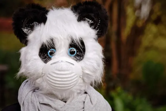 ΤοπΒετ Καζίνο Υποστηριξη